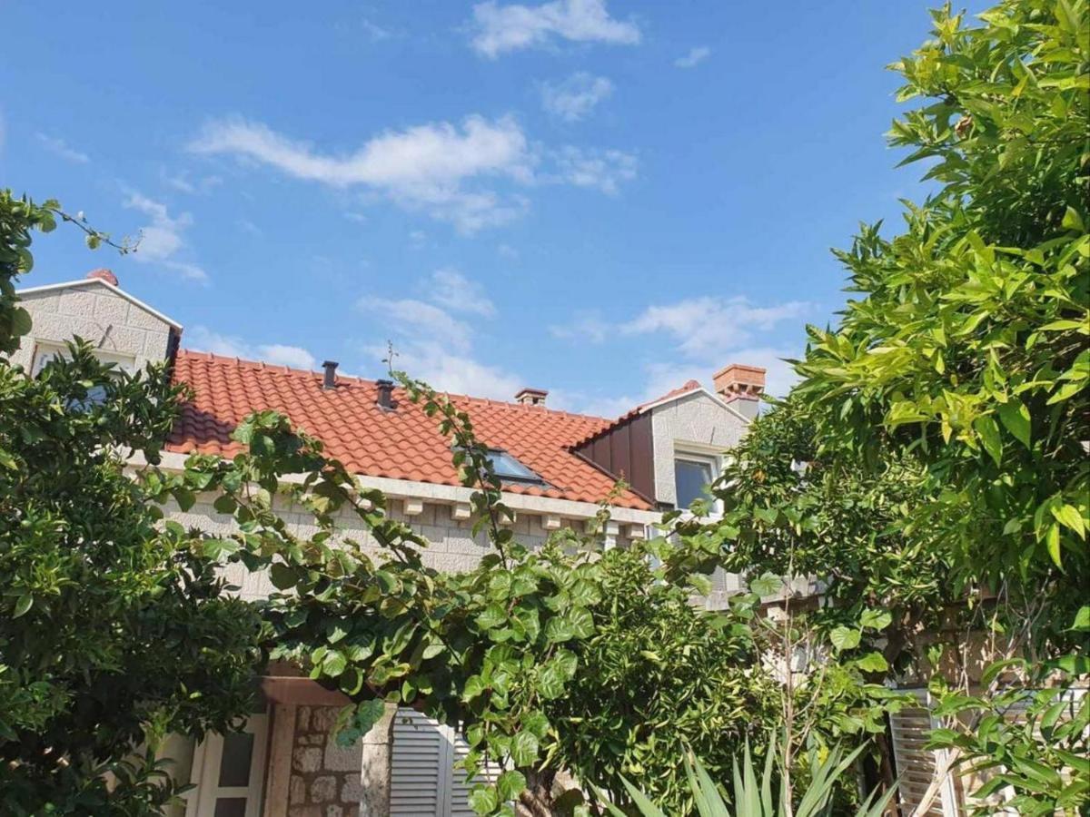 Dubrovnik Tirena Apartment Ngoại thất bức ảnh